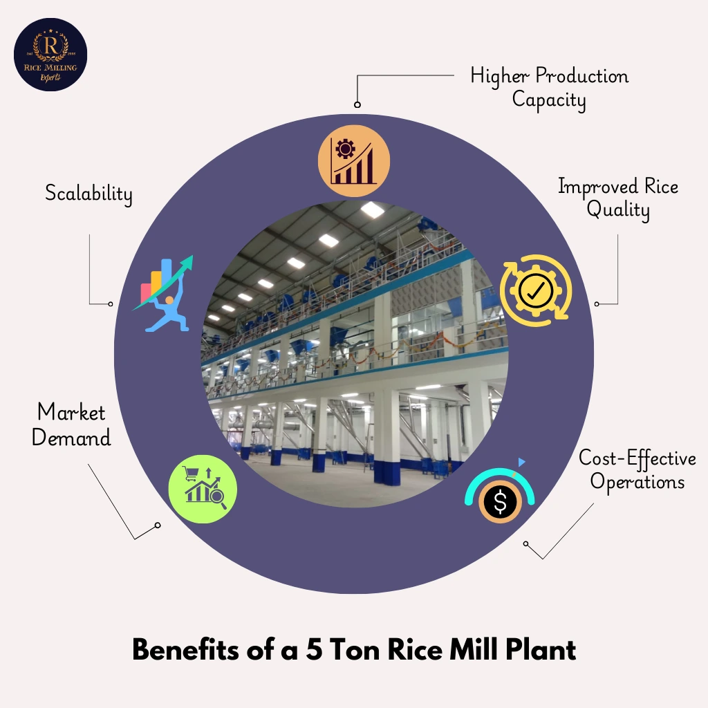 Benefits of a 5 Ton Rice Mill Plant