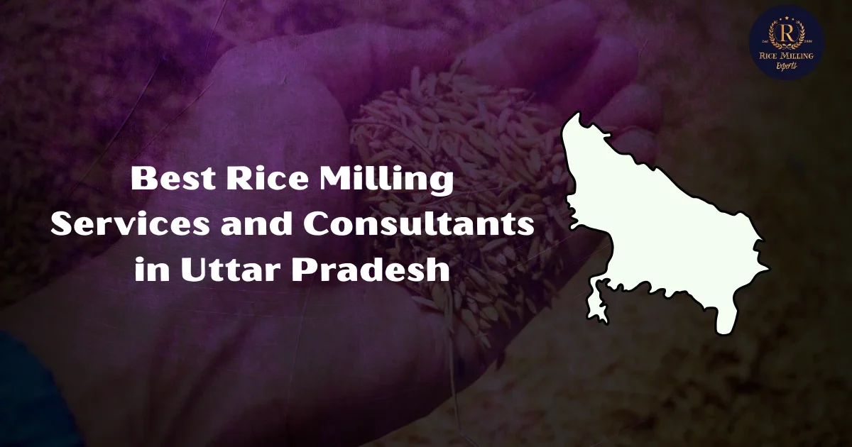 Best Rice Milling Services and Consultants in Uttar Pradesh 2025