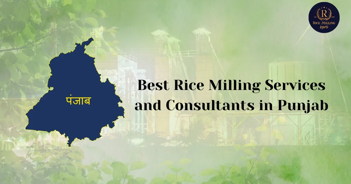 Best Rice Milling Services in Punjab