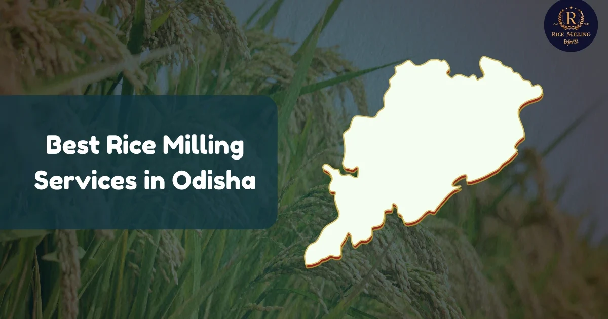 Rice Milling Services in Odisha