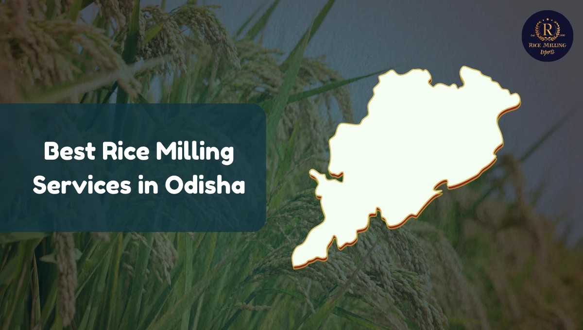 Rice Milling Services in Odisha