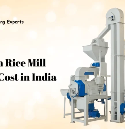 10 Ton Rice Mill Project Cost